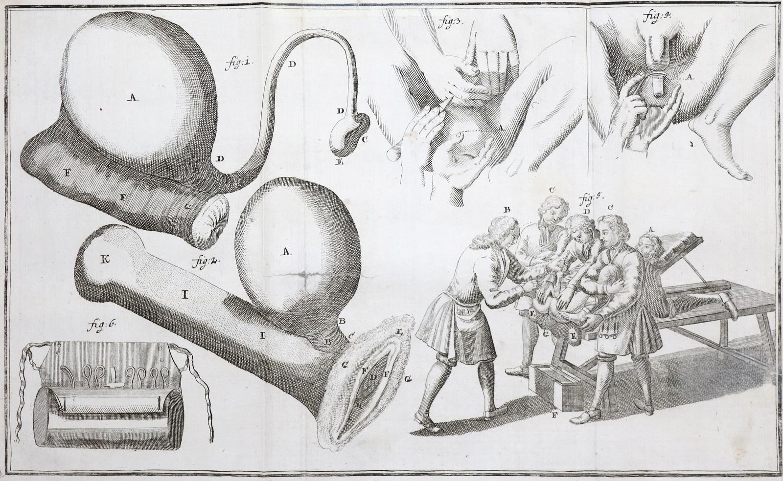 Heister,L. | Bild Nr.2