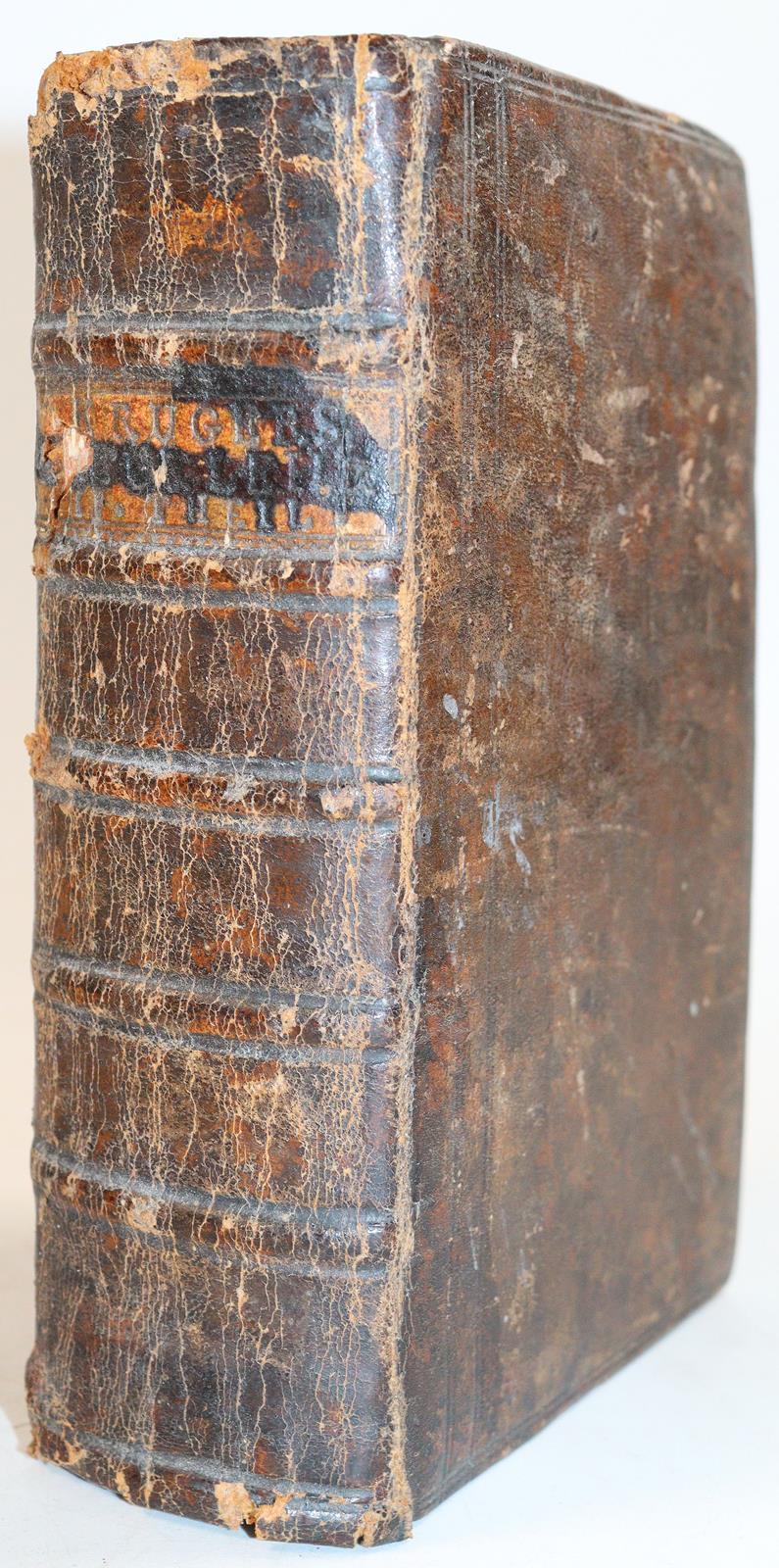 Krüger,J.G. | Bild Nr.5