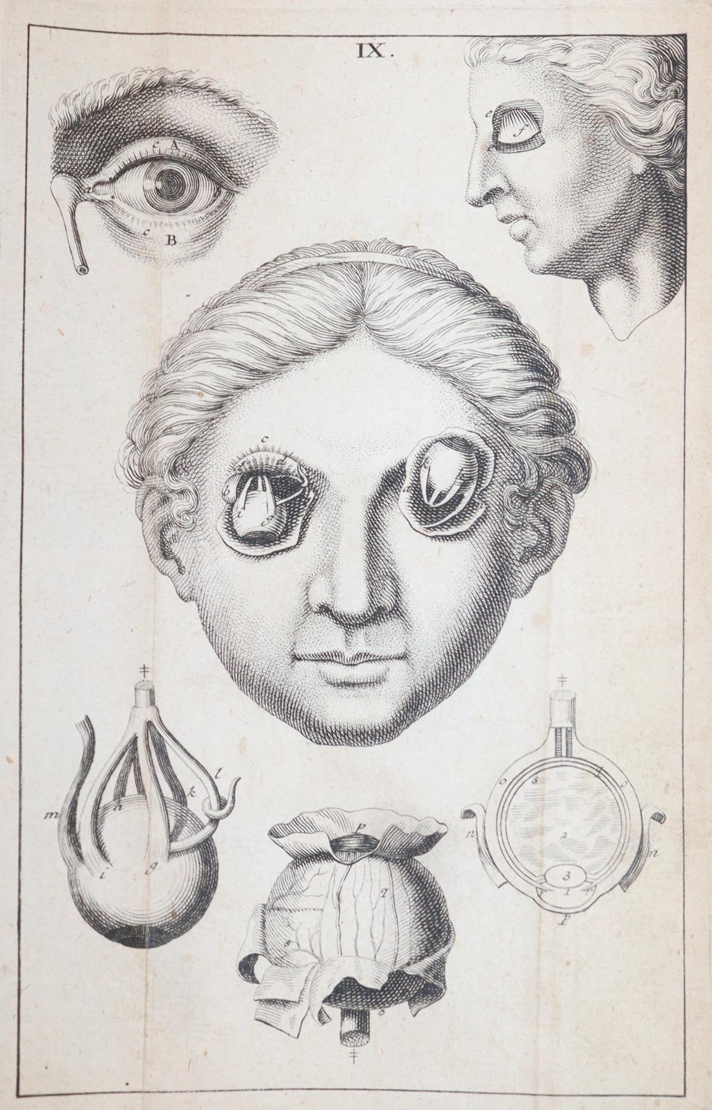 Kulmus,J.A. | Bild Nr.8