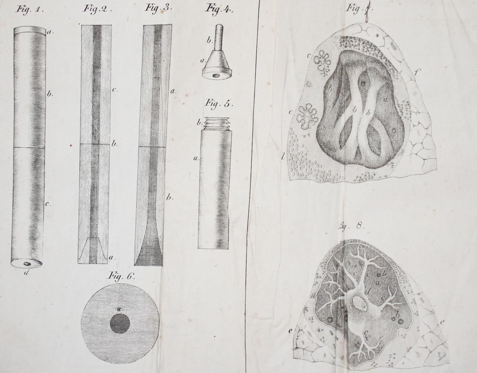 Laennec,R.T.H. | Bild Nr.2