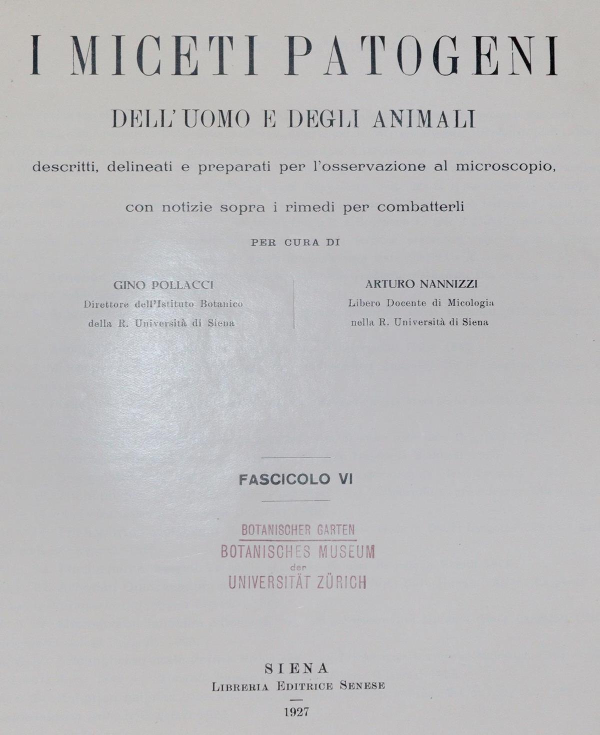 Pollacci,G. u. A.Nannizzi. | Bild Nr.1