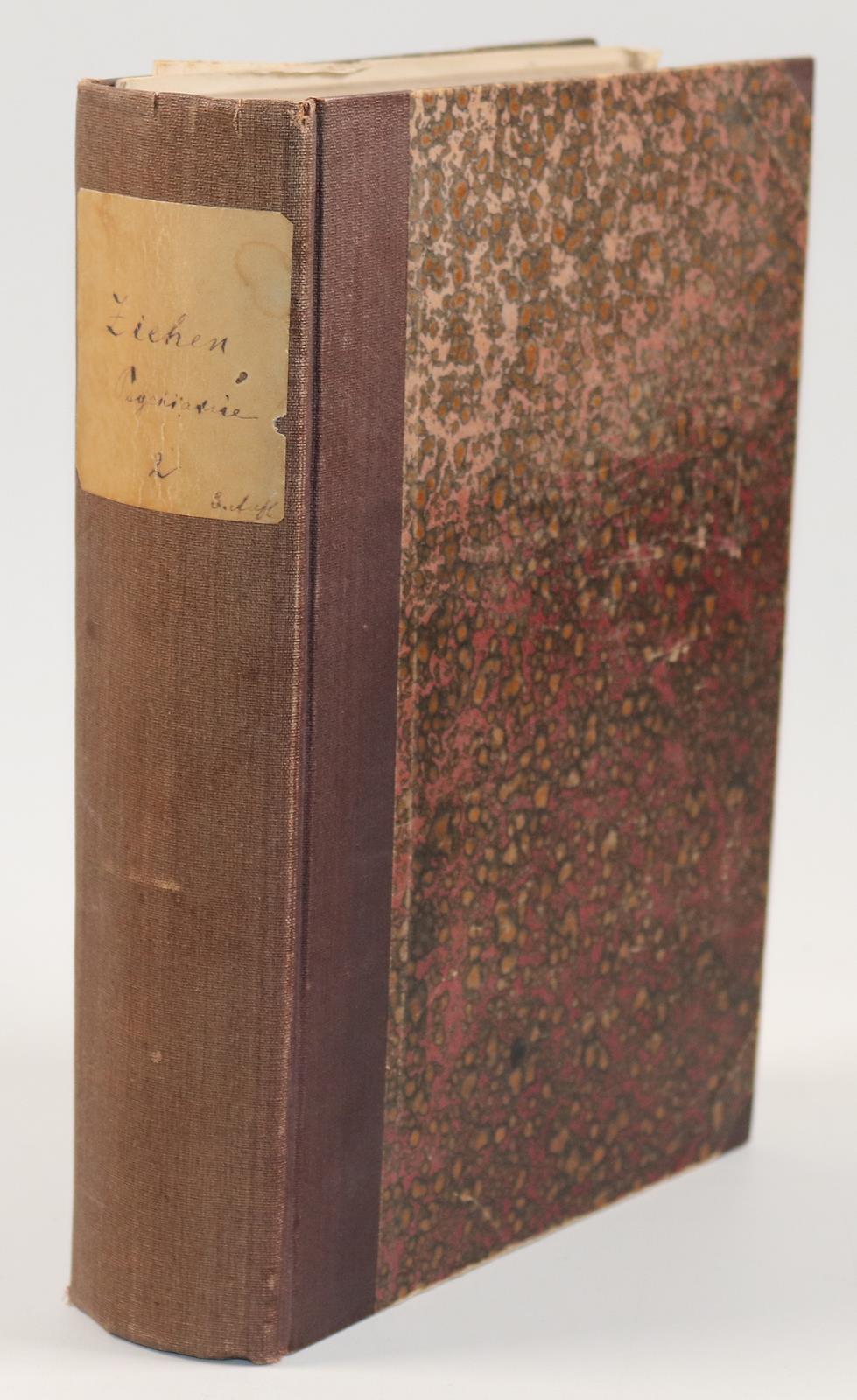 (Ziehen,T. | Bild Nr.2