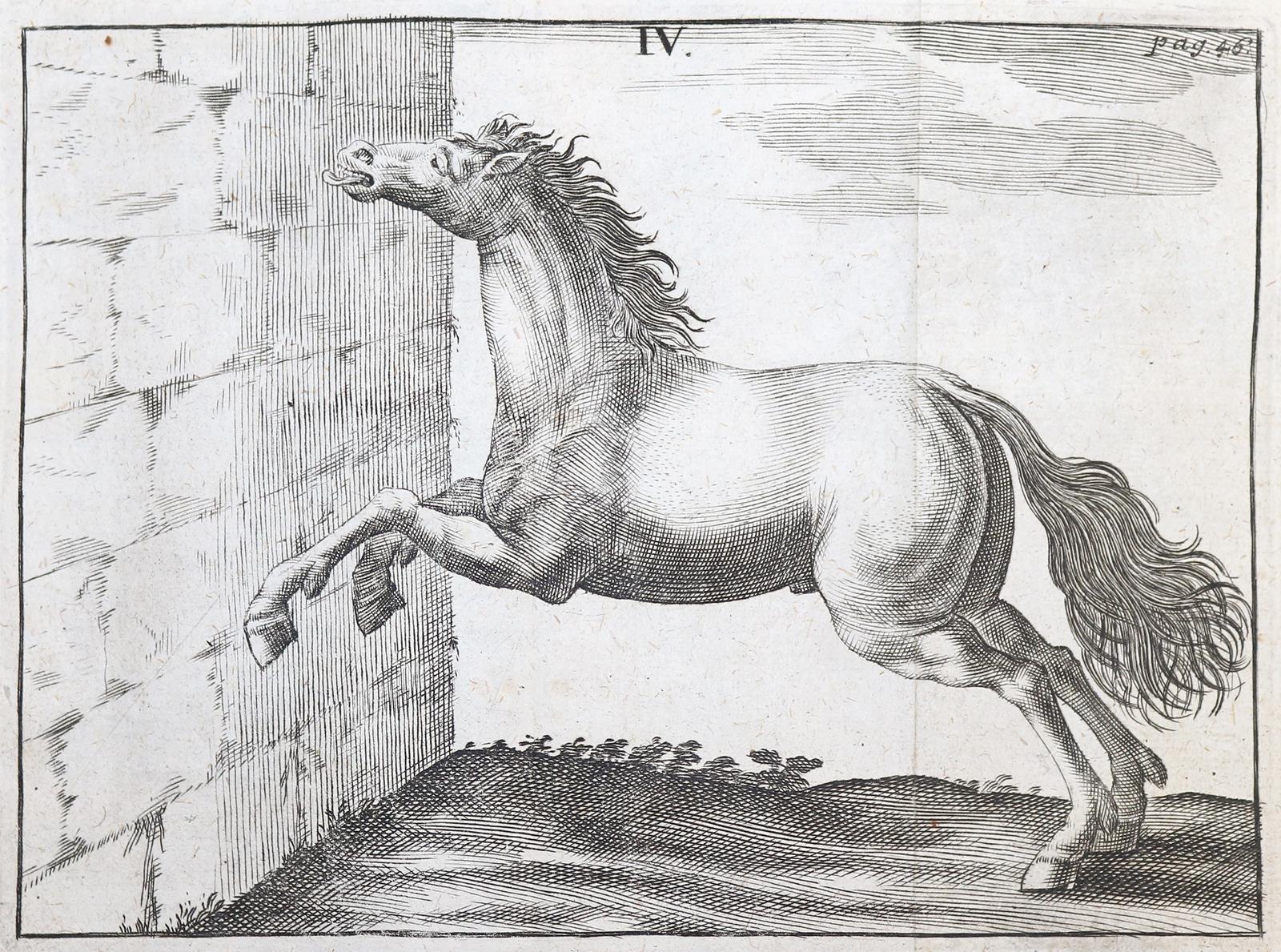 Winter,G.S. | Bild Nr.2