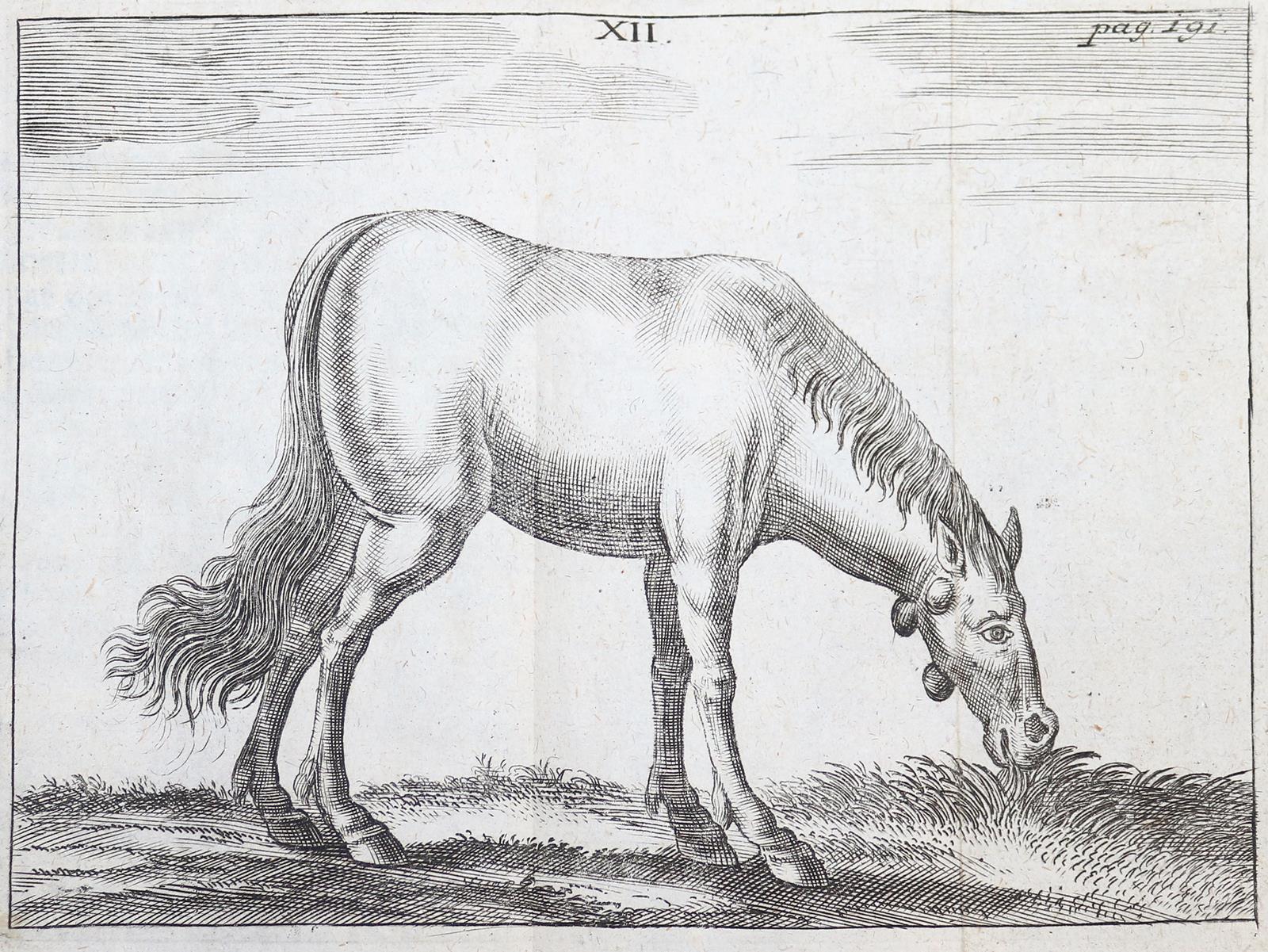 Winter,G.S. | Bild Nr.3