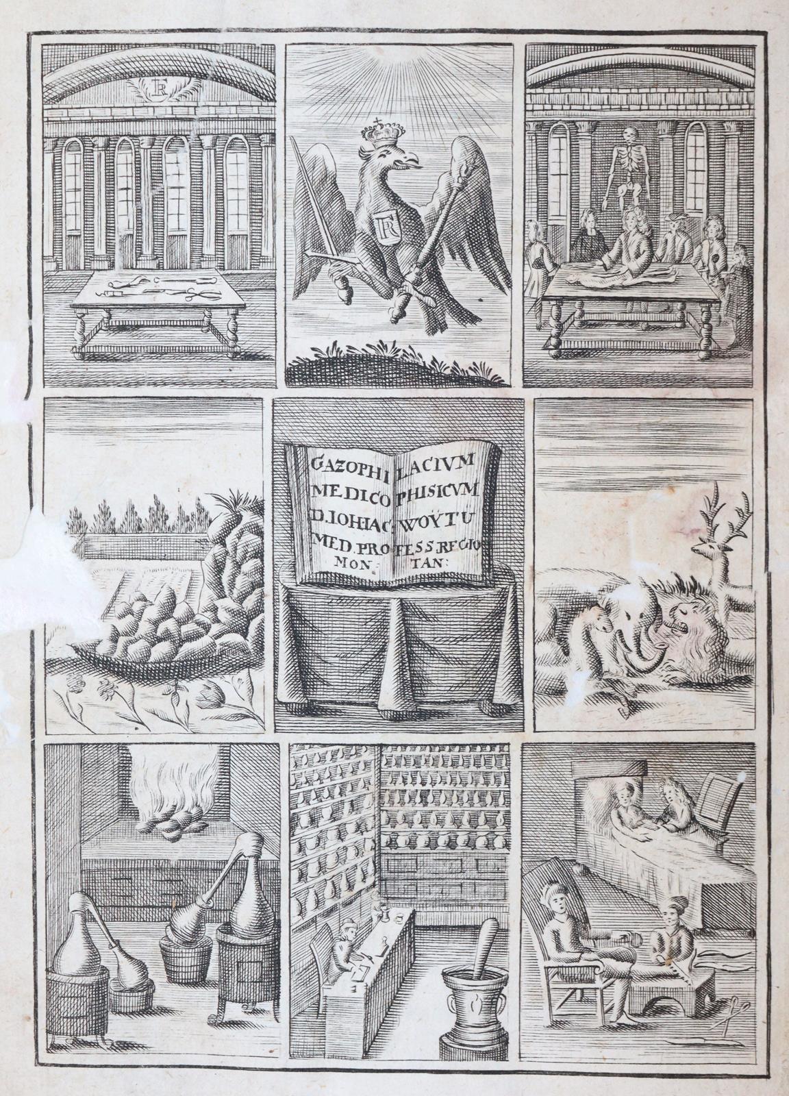 Woyt,J.J. | Bild Nr.1