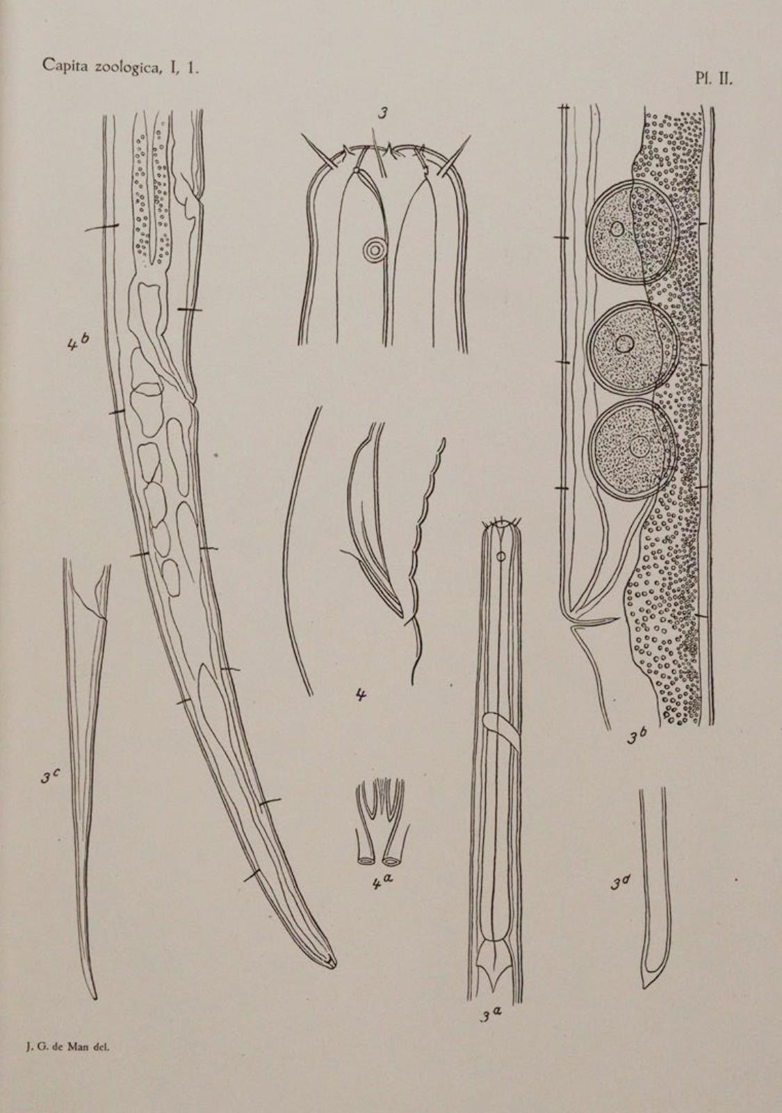 Beaufort,L.F.de. u.a. | Bild Nr.2