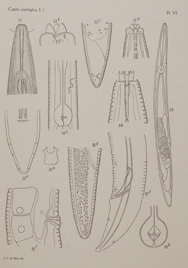 Beaufort,L.F.de. u.a. | Bild Nr.3