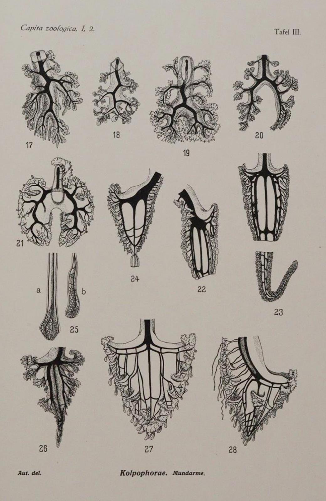 Beaufort,L.F.de. u.a. | Bild Nr.4