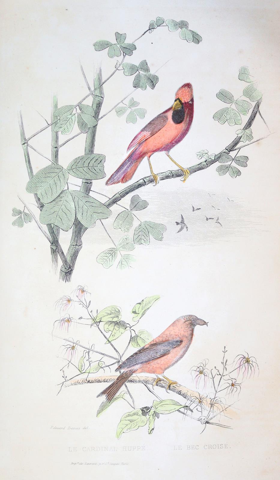 Buffon,(G.L.L.de). | Bild Nr.1