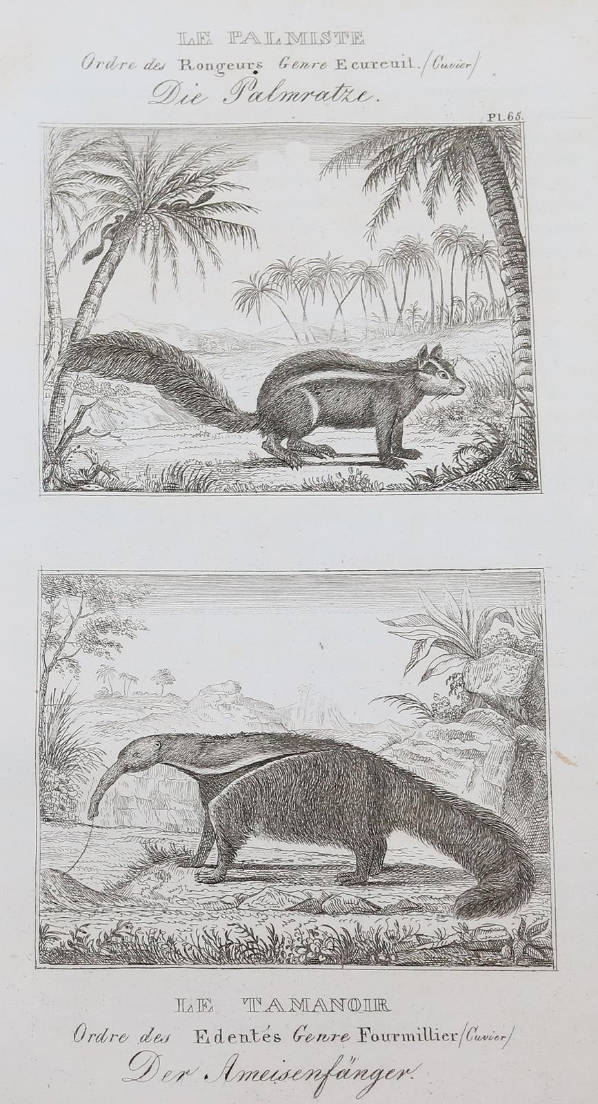 Buffon,(G.L.L.de). | Bild Nr.4