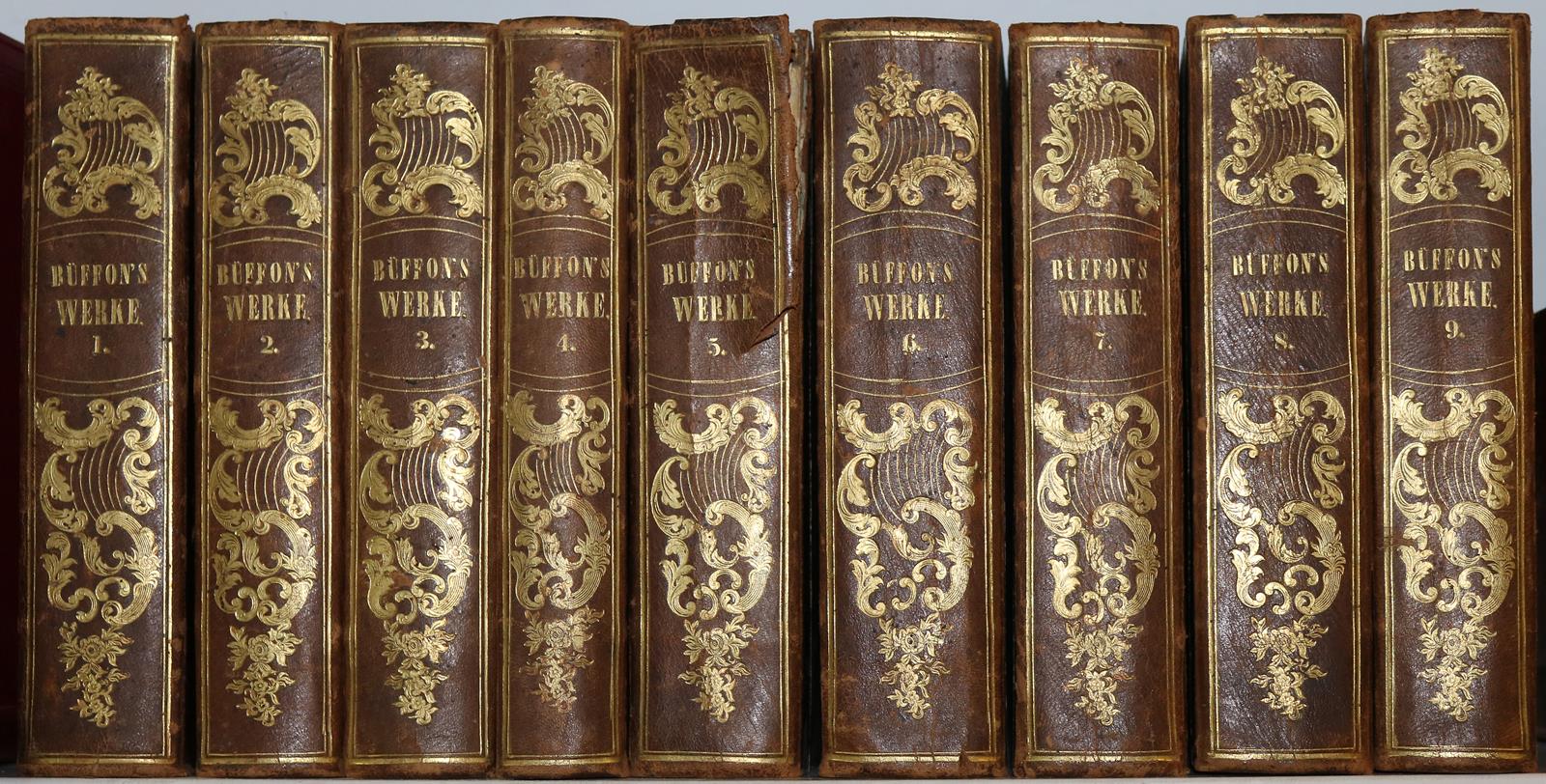 Buffon,(G.L.L.de). | Bild Nr.5