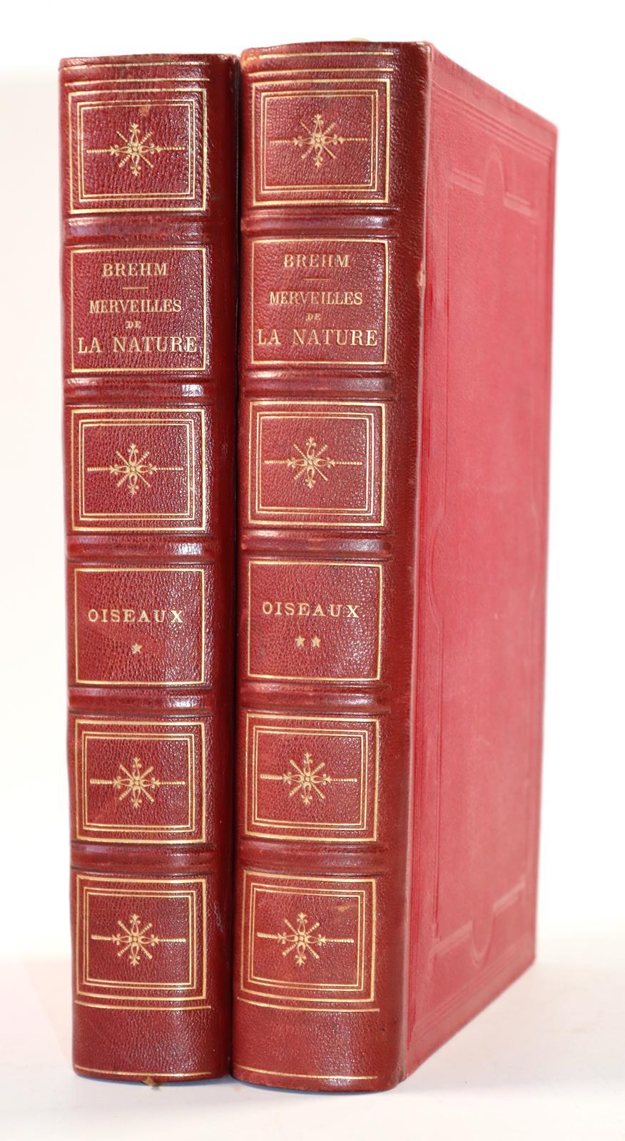 Buffon,(G.L.L.de). | Bild Nr.7