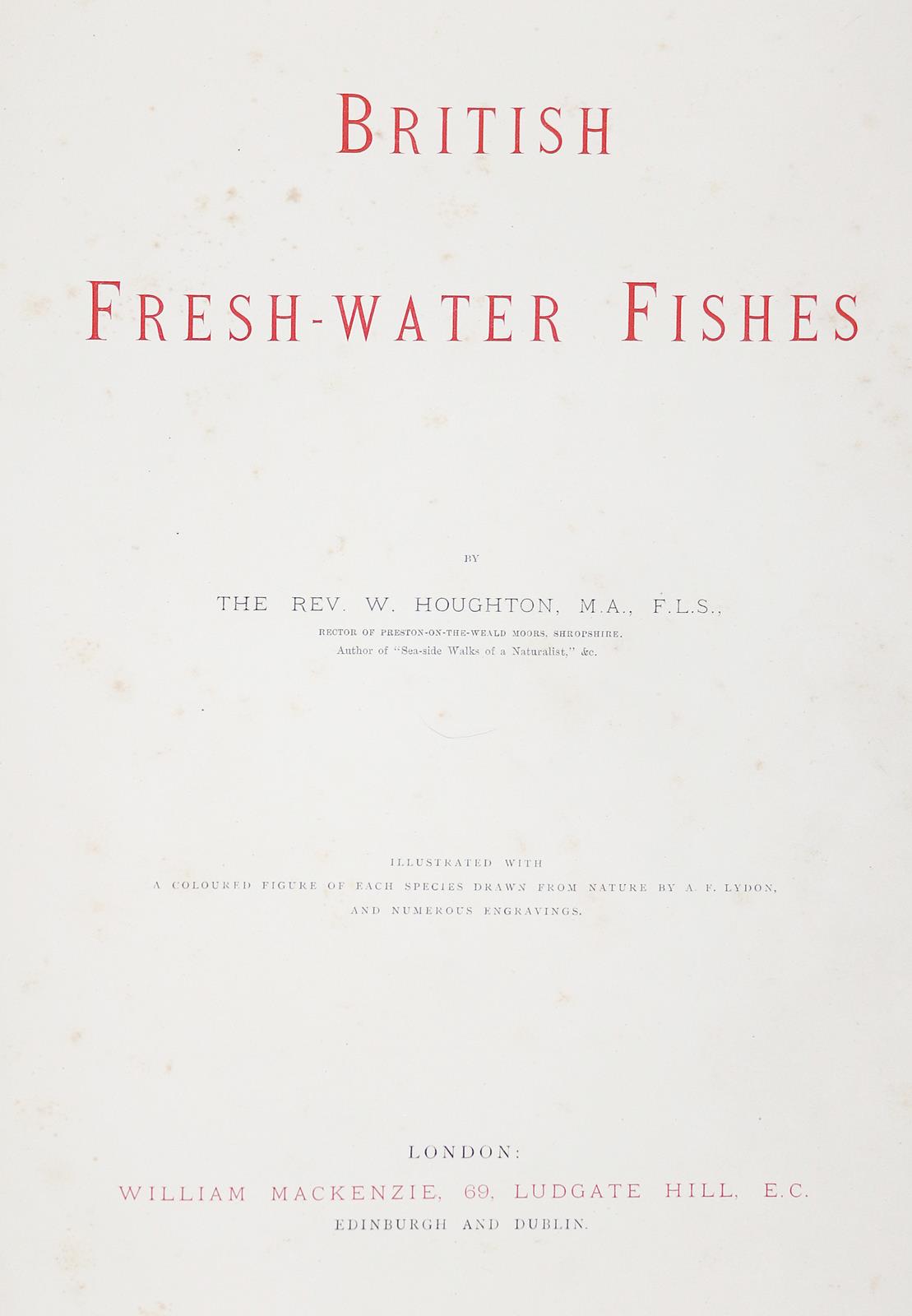 Houghton,W. | Bild Nr.4