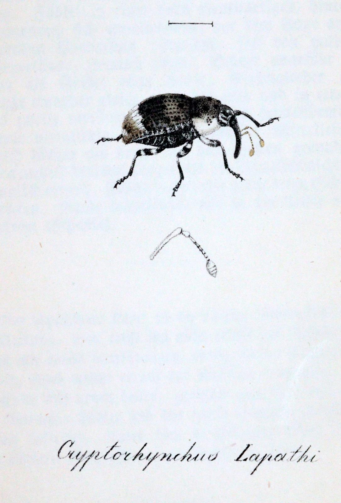 Labram,J.D. | Bild Nr.2