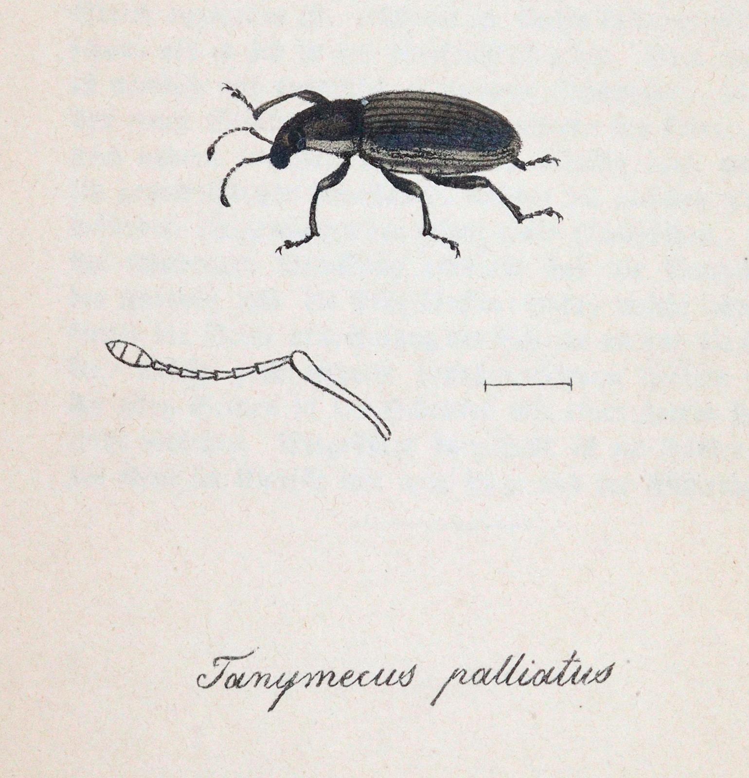Labram,J.D. | Bild Nr.3
