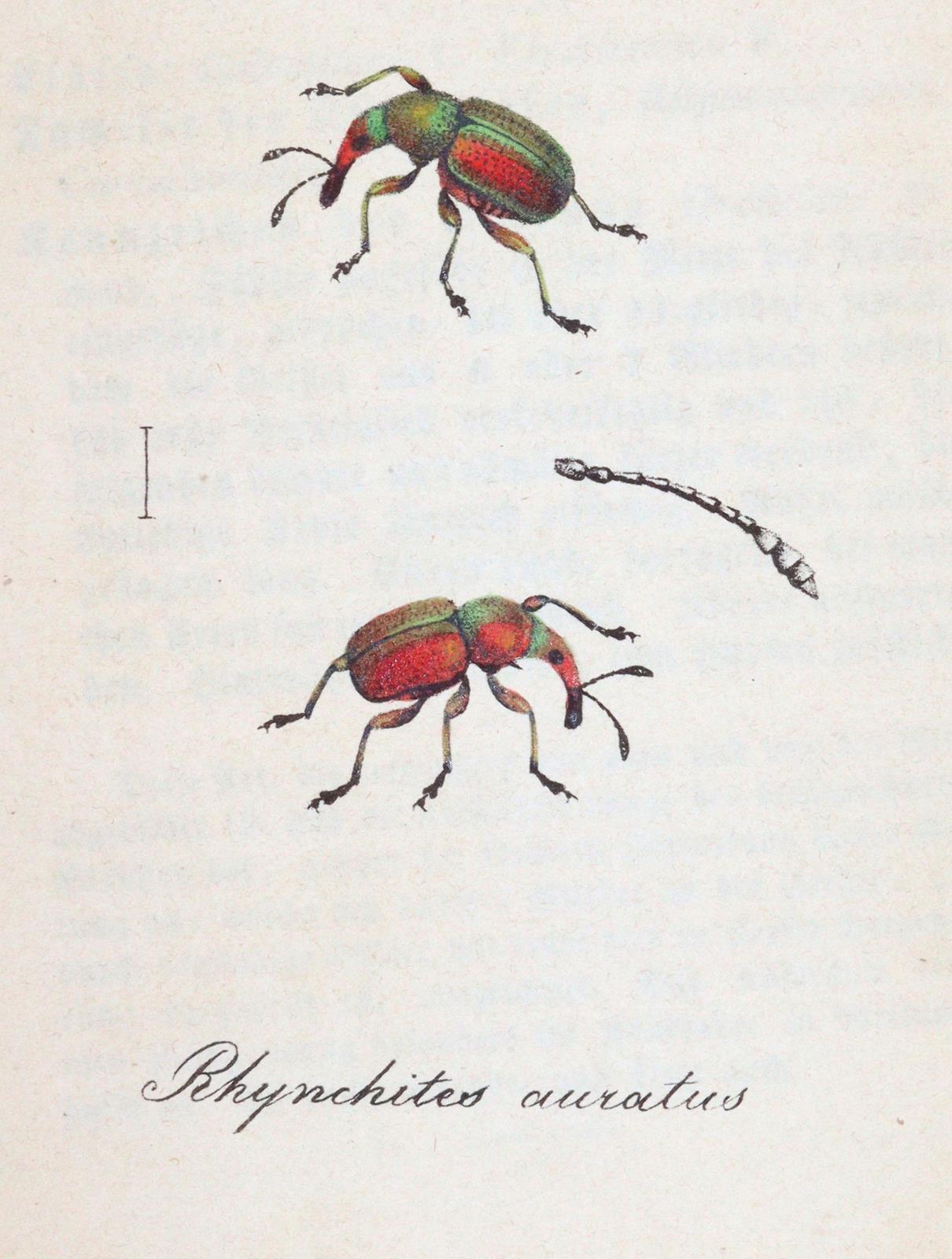 Labram,J.D. | Bild Nr.4