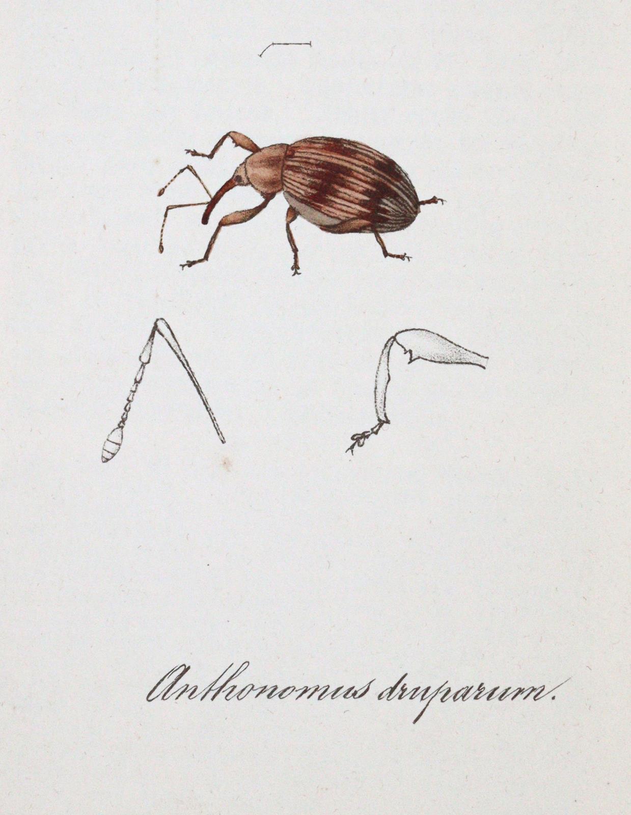 Labram,J.D. | Bild Nr.6