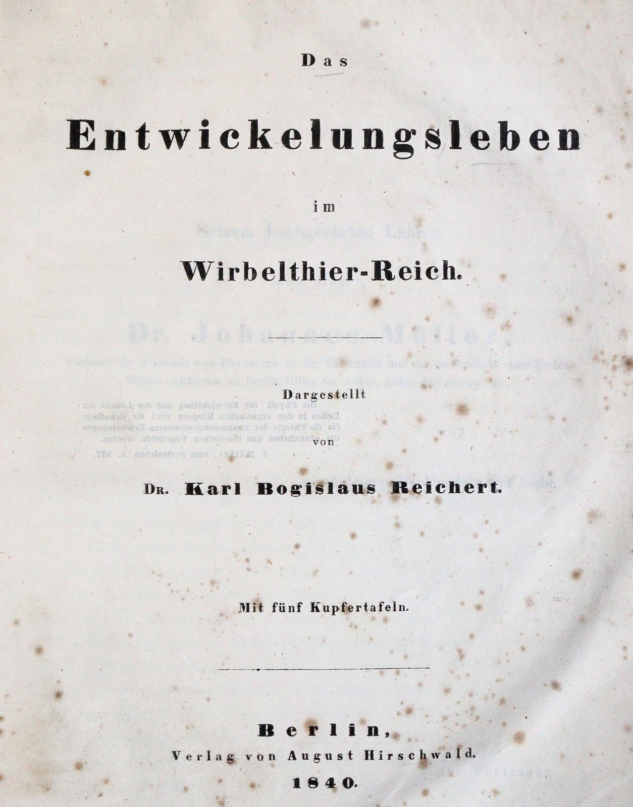 Reichert,K.B. | Bild Nr.1