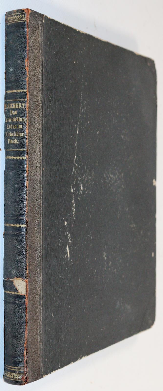 Reichert,K.B. | Bild Nr.5