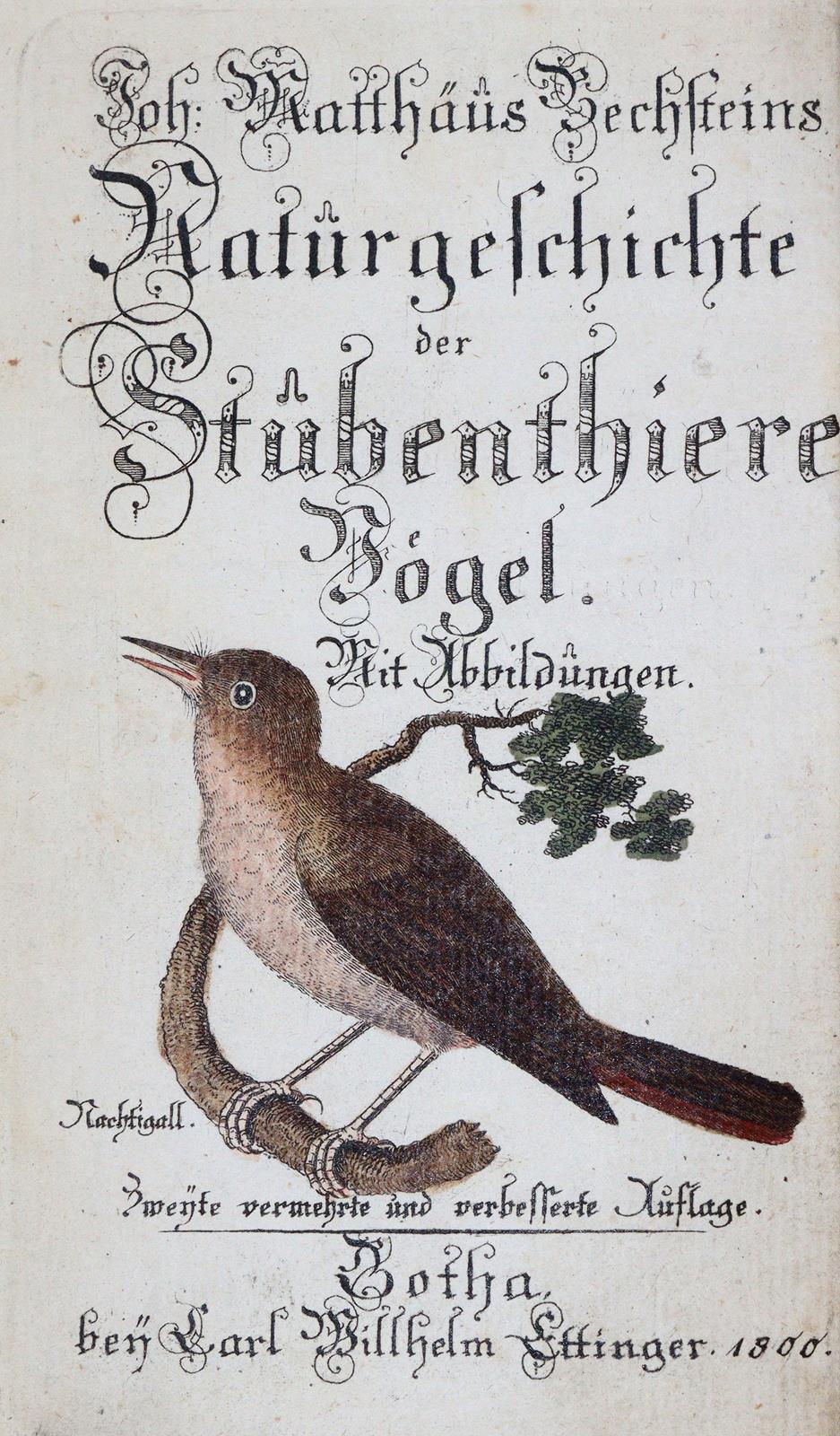 Bechstein,J.M. | Bild Nr.2