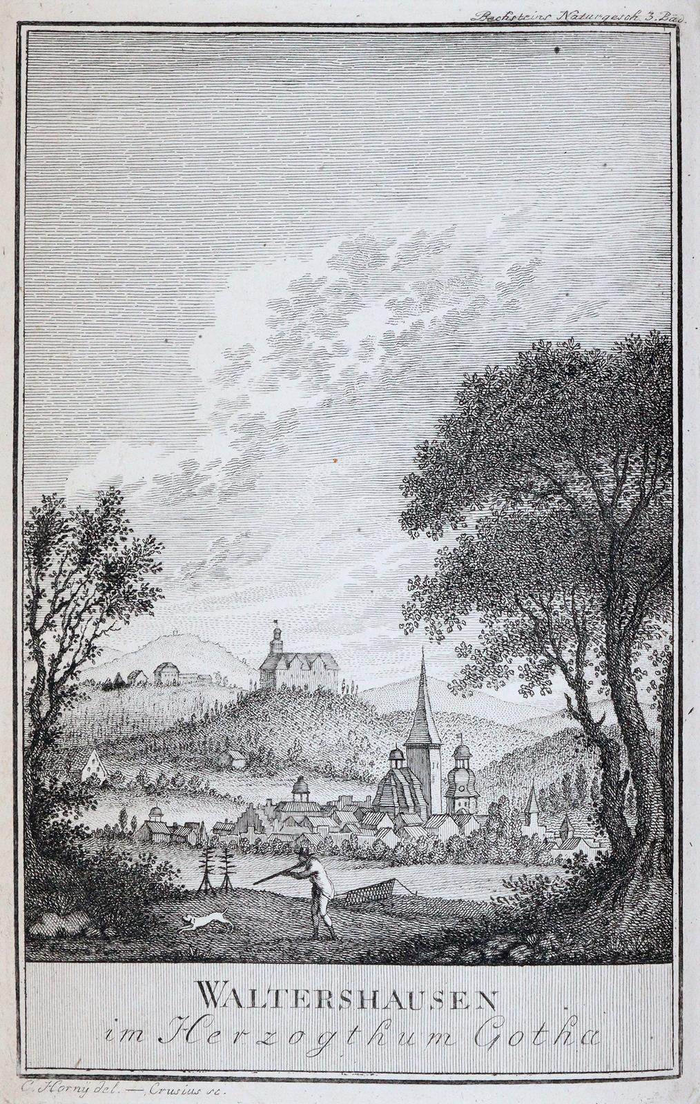 Bechstein,J.M. | Bild Nr.2