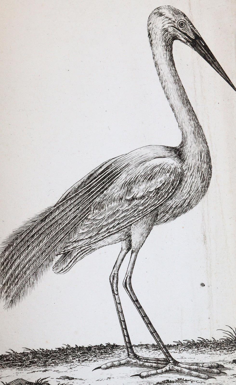 Bechstein,J.M. | Bild Nr.4