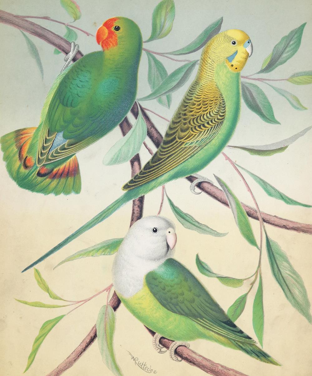 Blakston,W.A. u.a. | Bild Nr.1