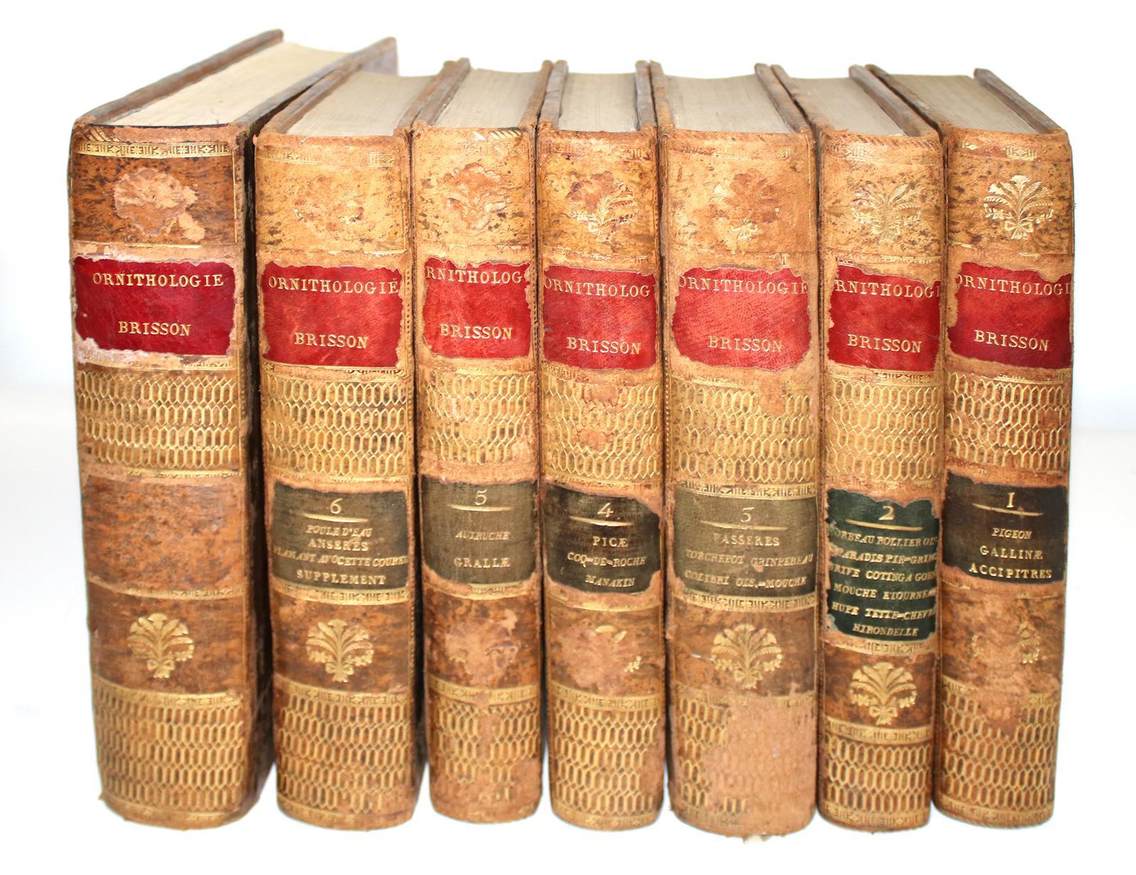 Brisson,(M.J.). | Bild Nr.3