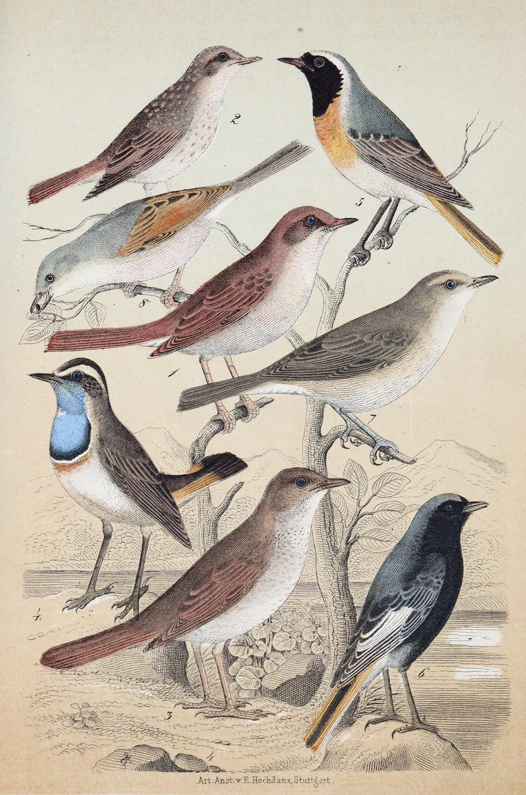 Friderich,C.B. | Bild Nr.2