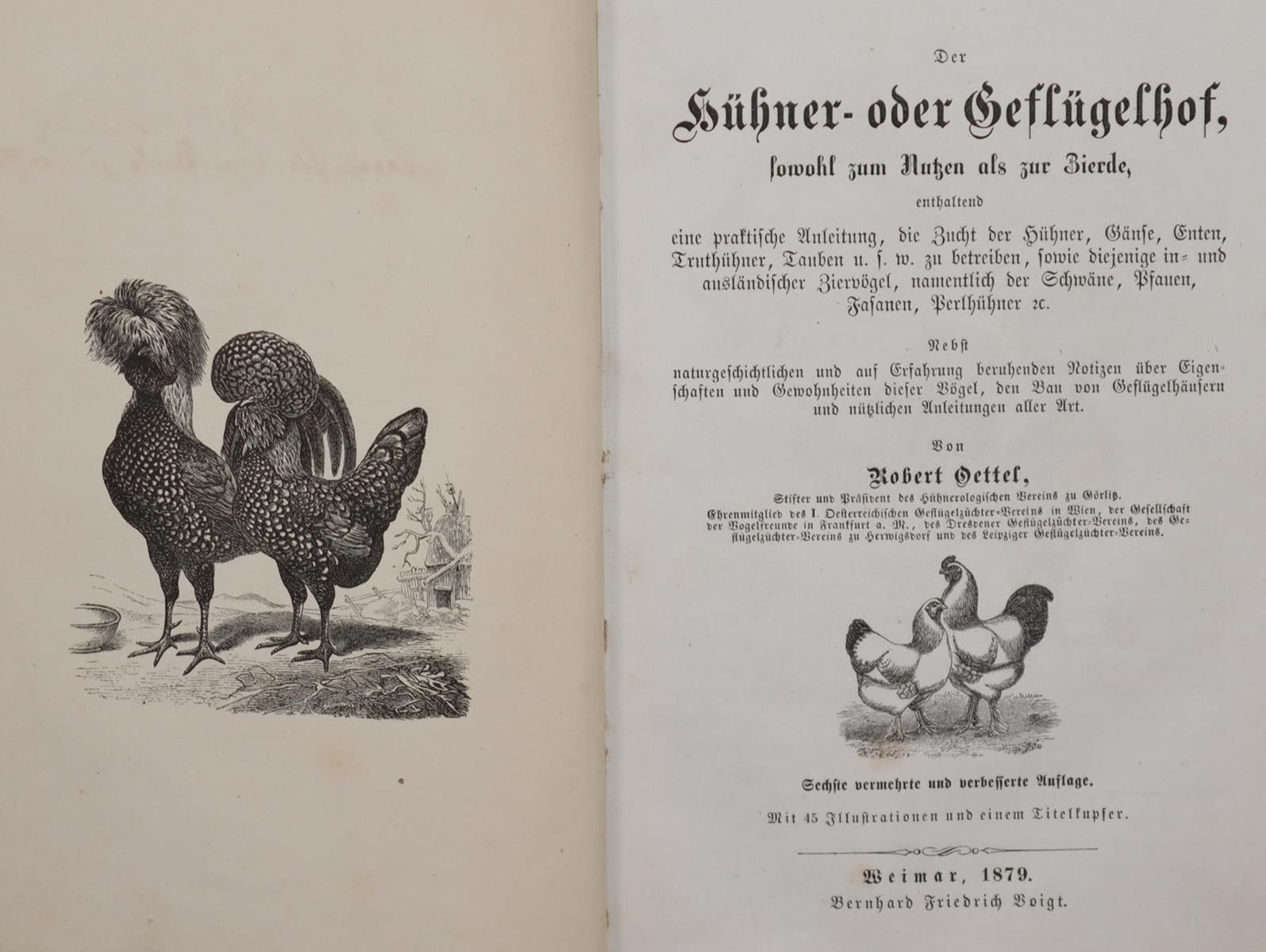 Meerwarth,H. u. K.Soffel. | Bild Nr.4