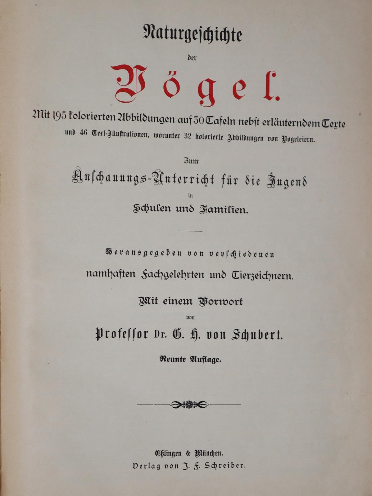 Meerwarth,H. u. K.Soffel. | Bild Nr.6