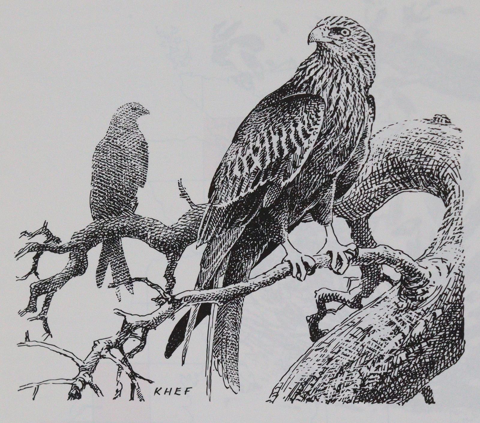 Sammlung | Bild Nr.2