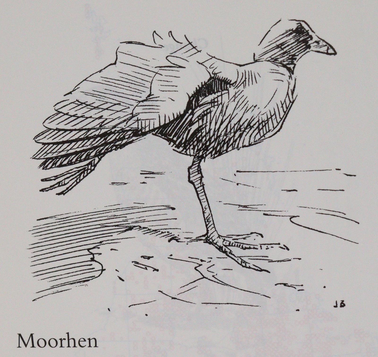 Sammlung | Bild Nr.3