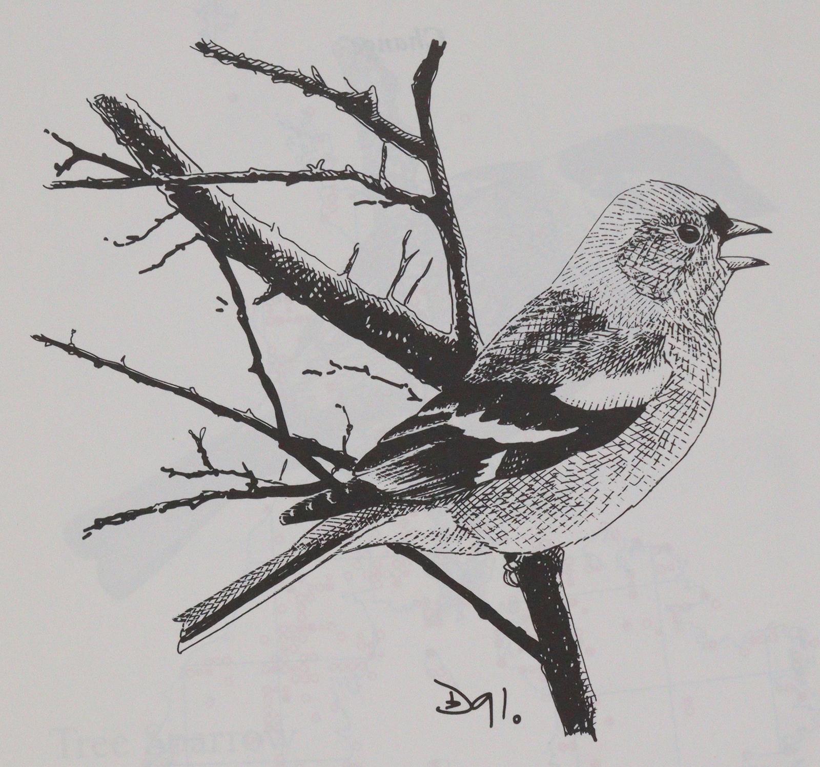 Sammlung | Bild Nr.5