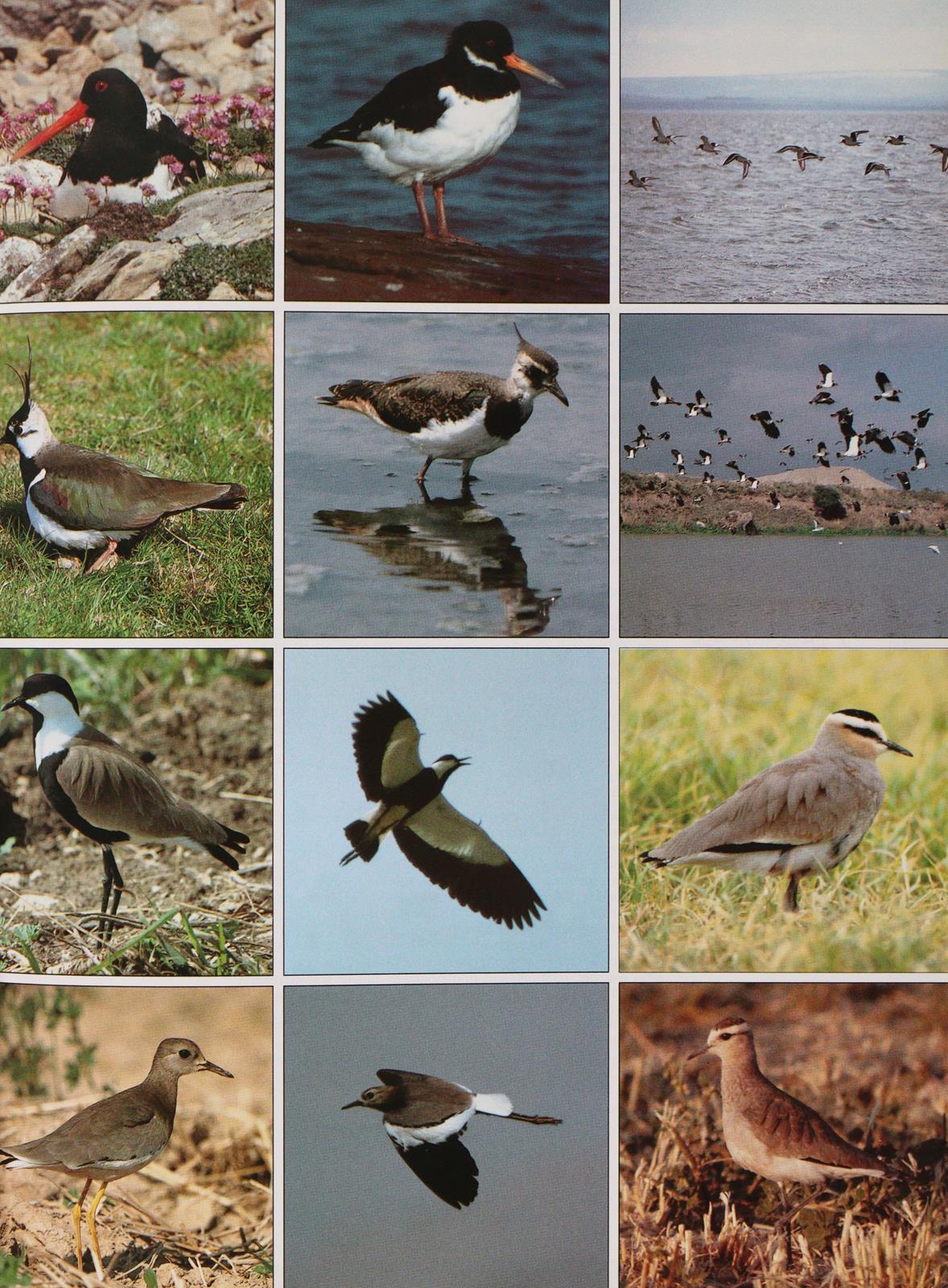 Sammlung | Bild Nr.3