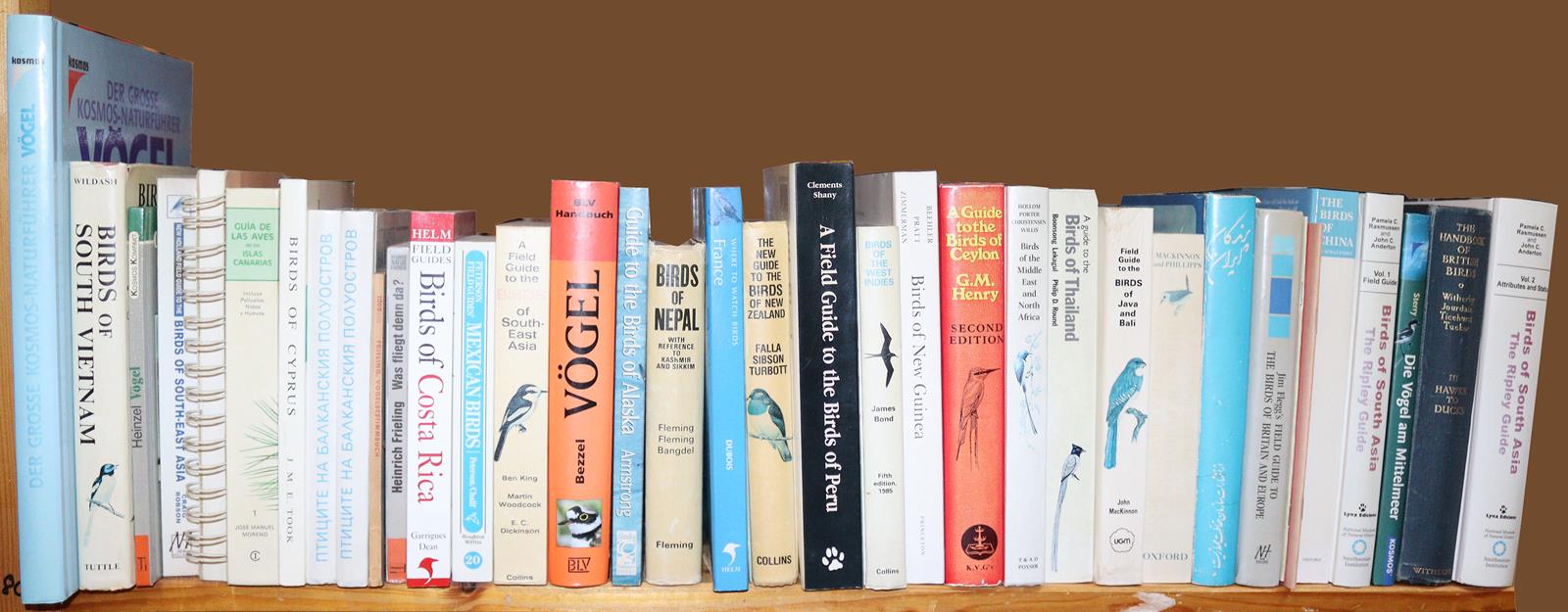 Sammlung | Bild Nr.5