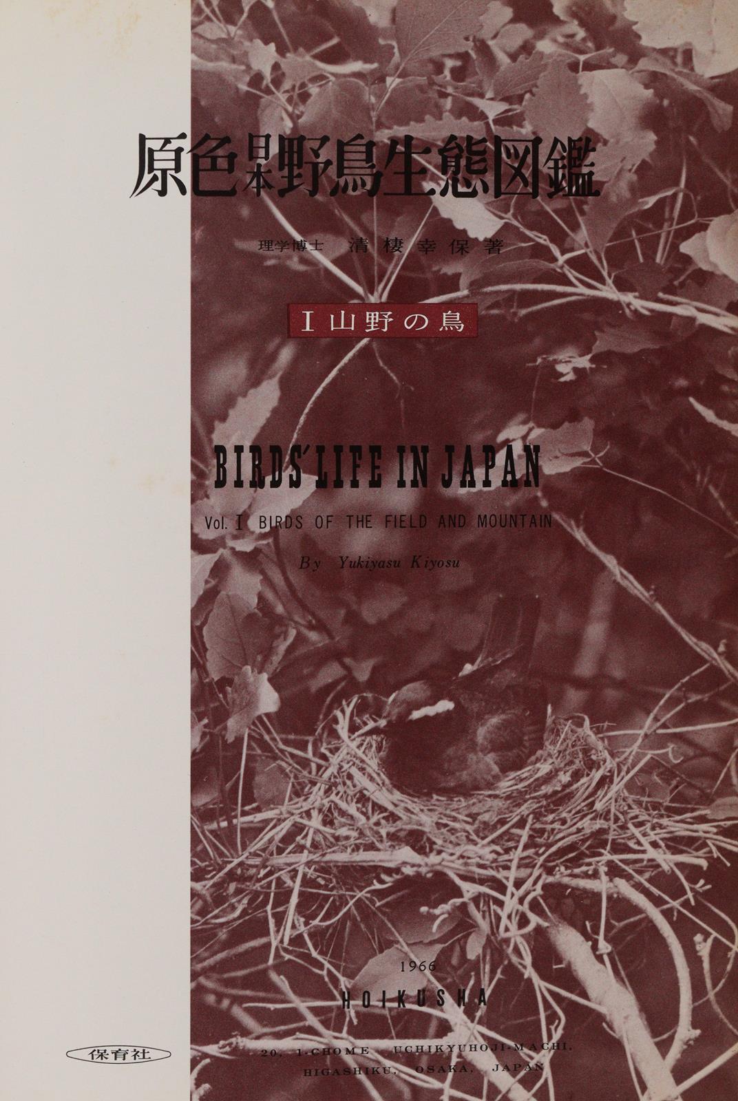 Sammlung | Bild Nr.1