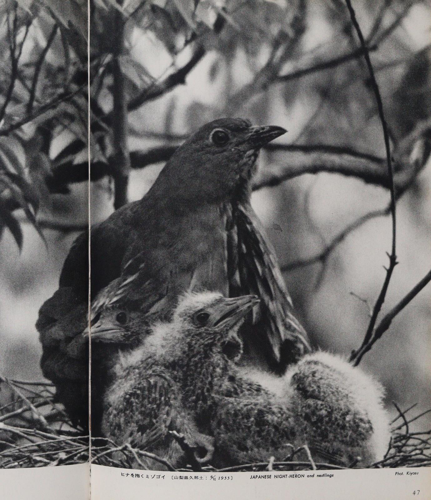 Sammlung | Bild Nr.2