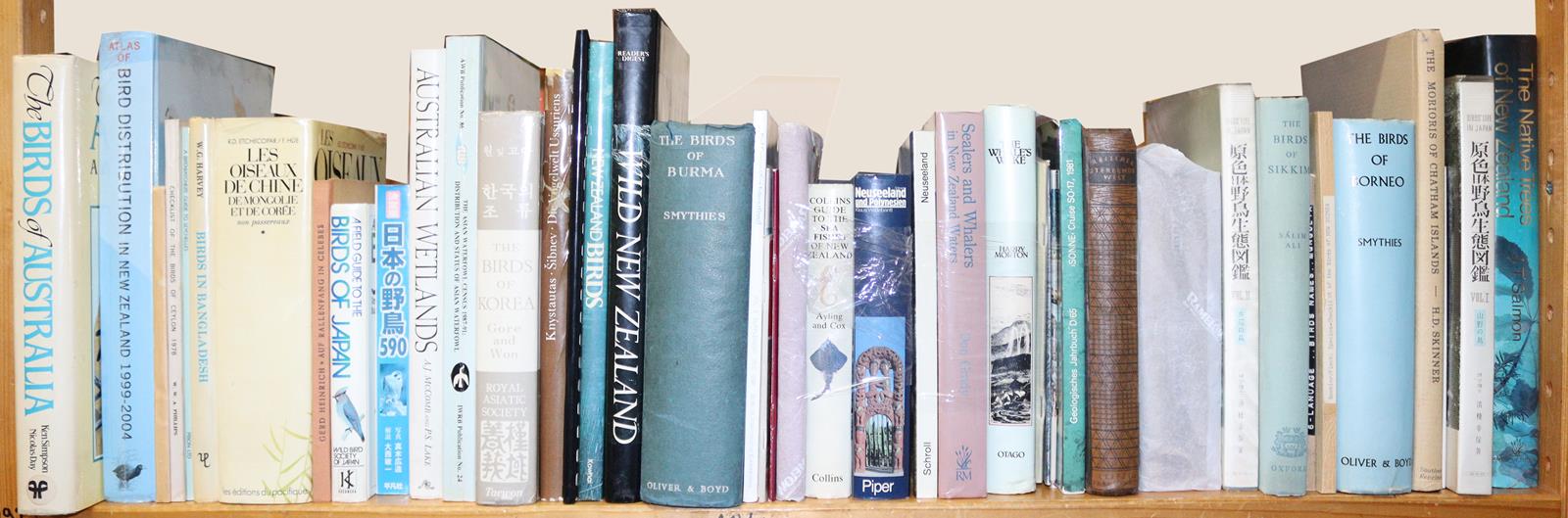 Sammlung | Bild Nr.5