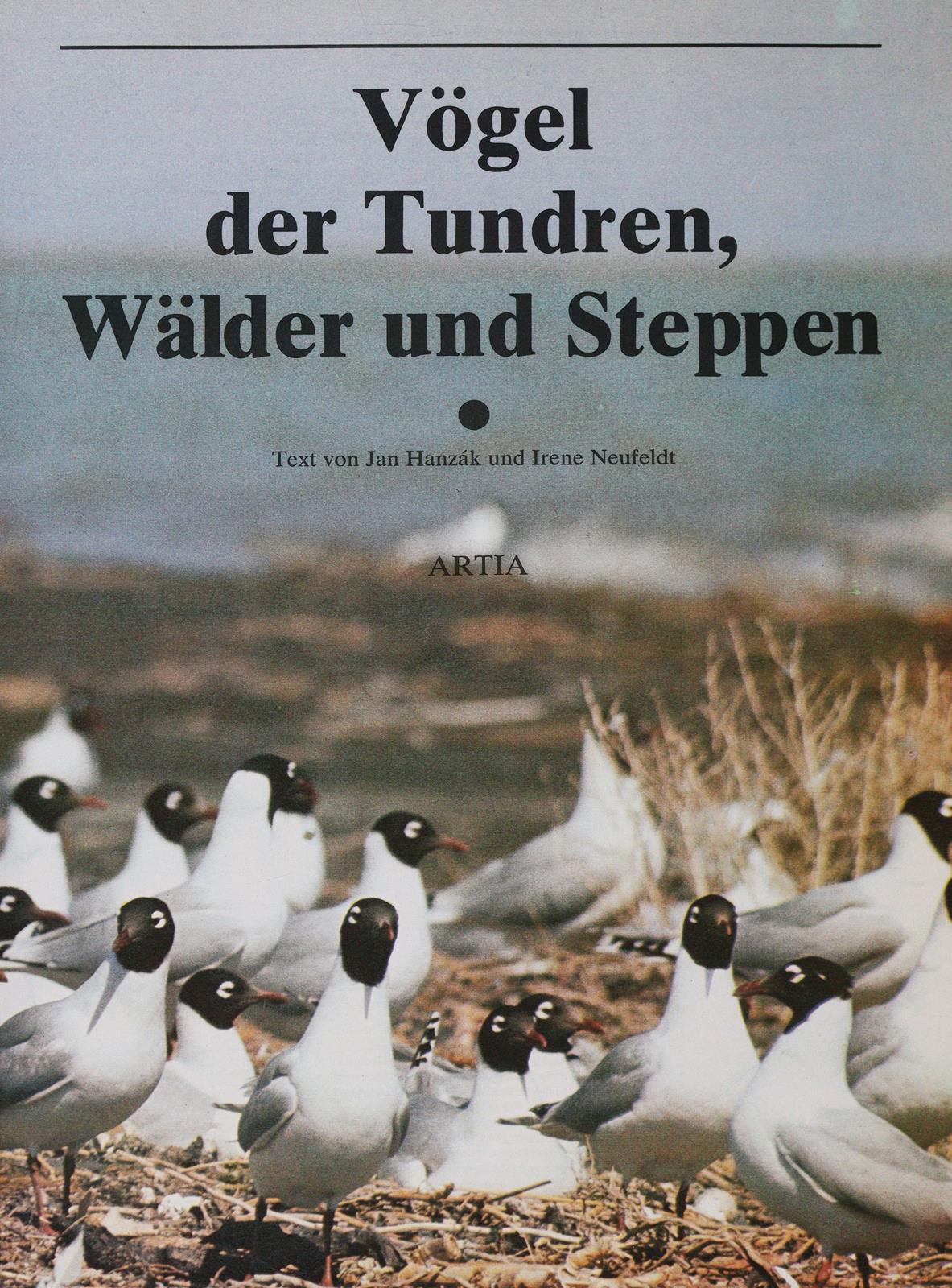 Sammlung | Bild Nr.1