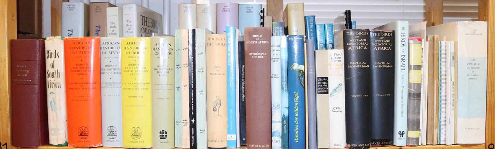 Sammlung | Bild Nr.5