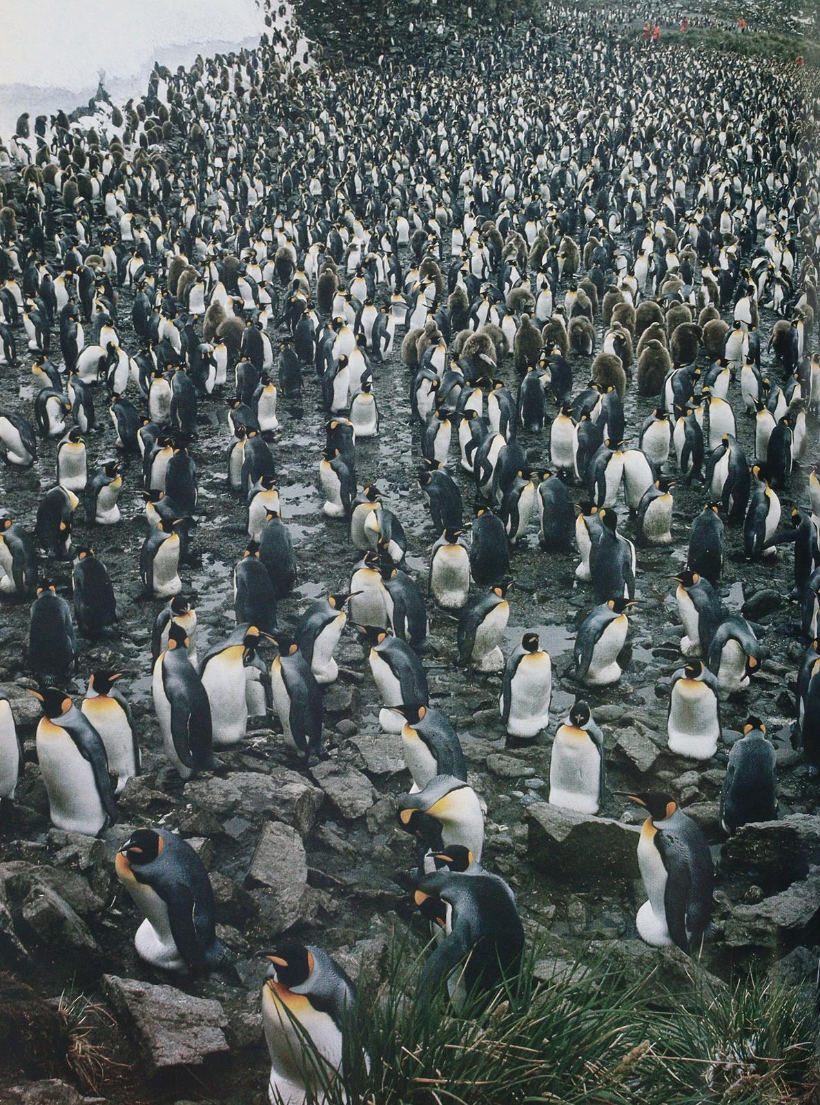 Sammlung | Bild Nr.3