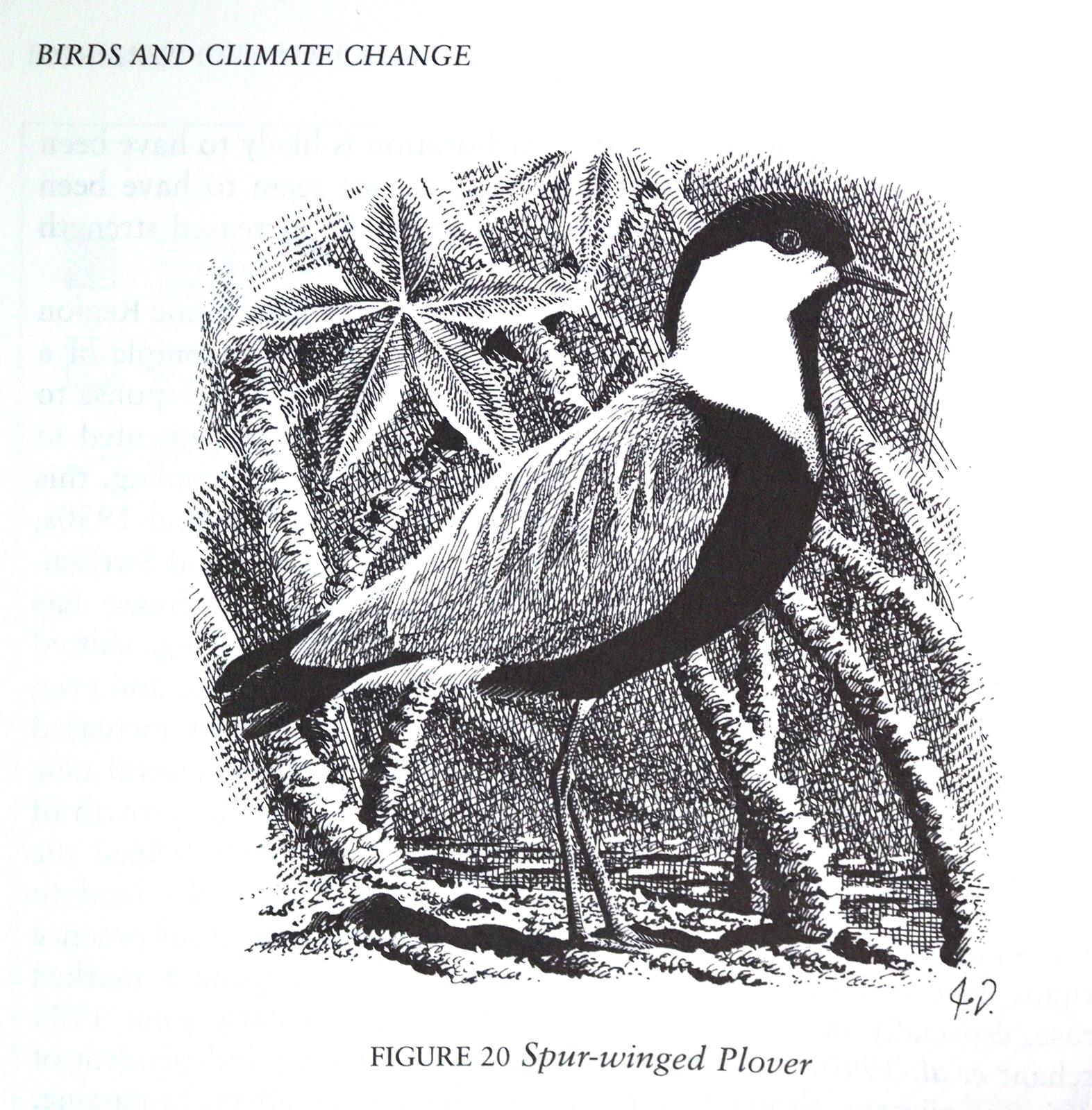 Sammlung | Bild Nr.4