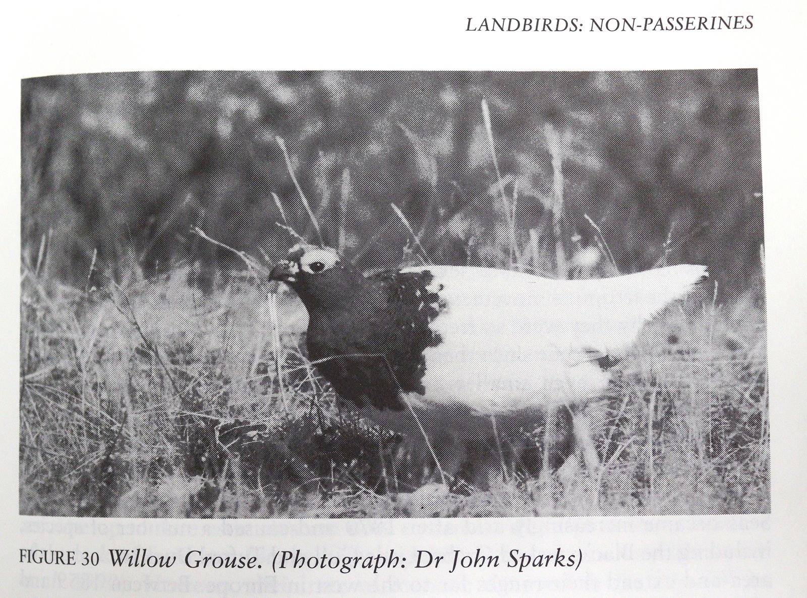 Sammlung | Bild Nr.5