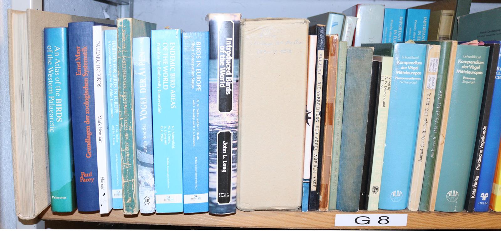 Sammlung | Bild Nr.6