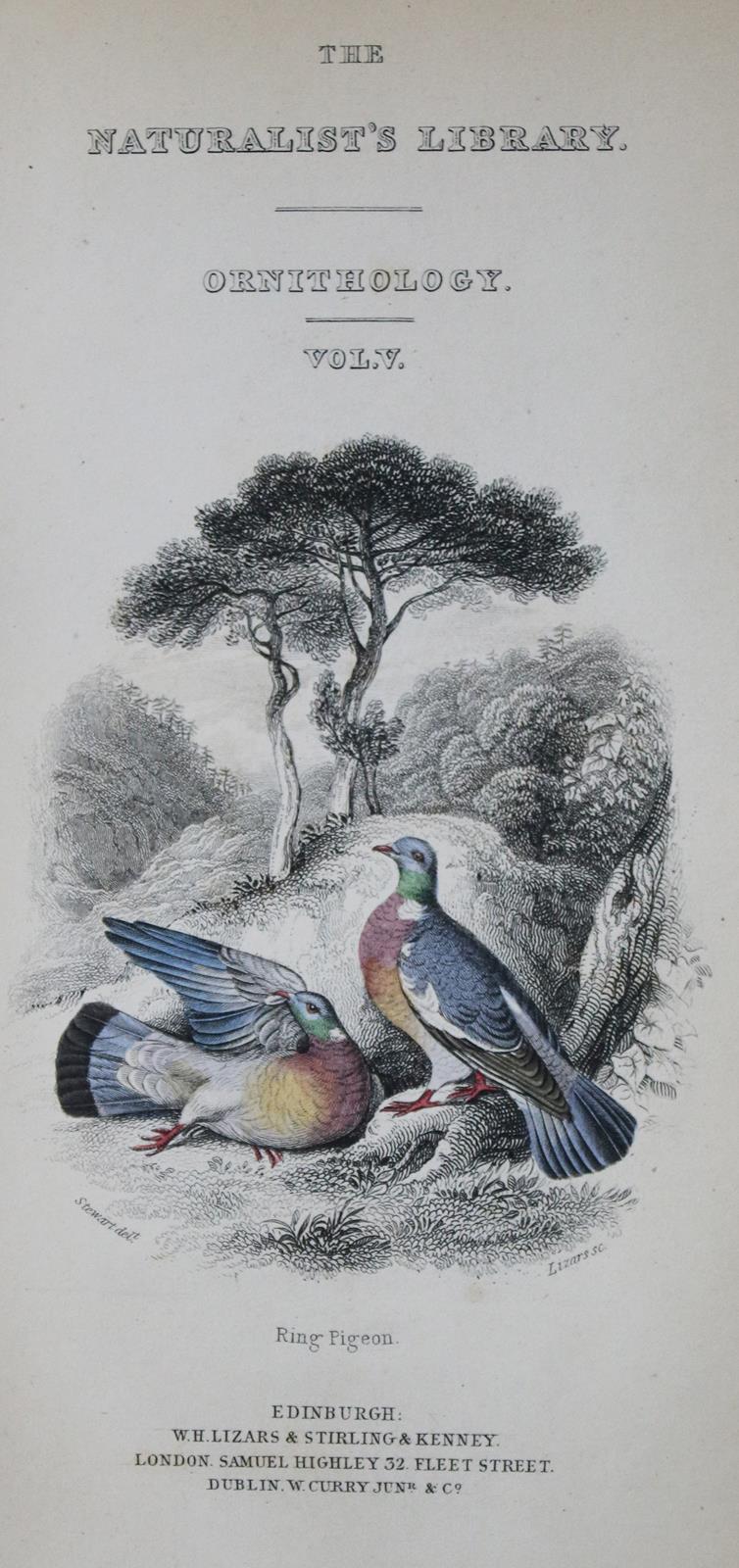 Eaton,J.M. | Bild Nr.2