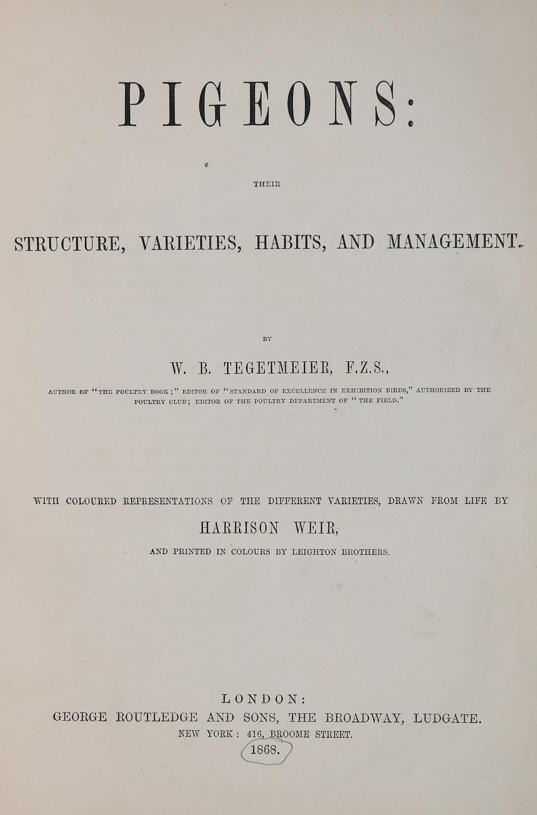 Fulton,R. | Bild Nr.2