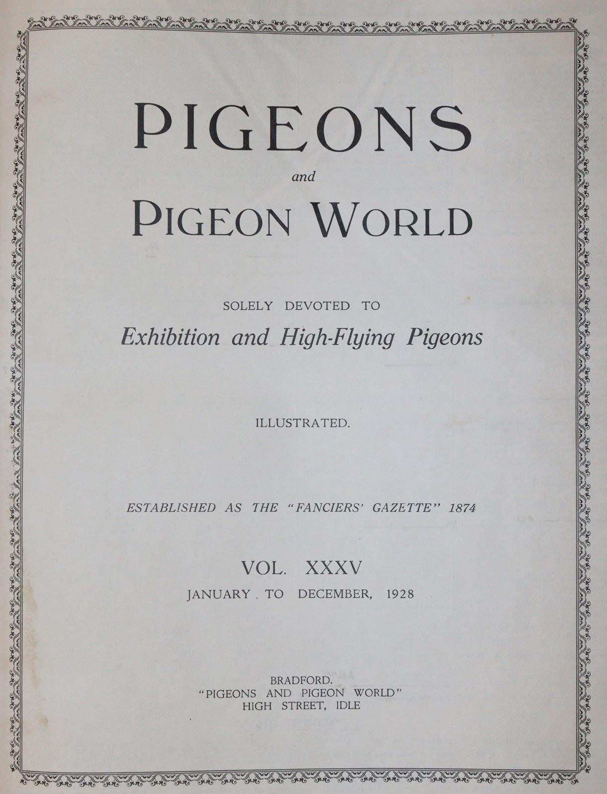 Pigeons and pigeon world. | Bild Nr.1