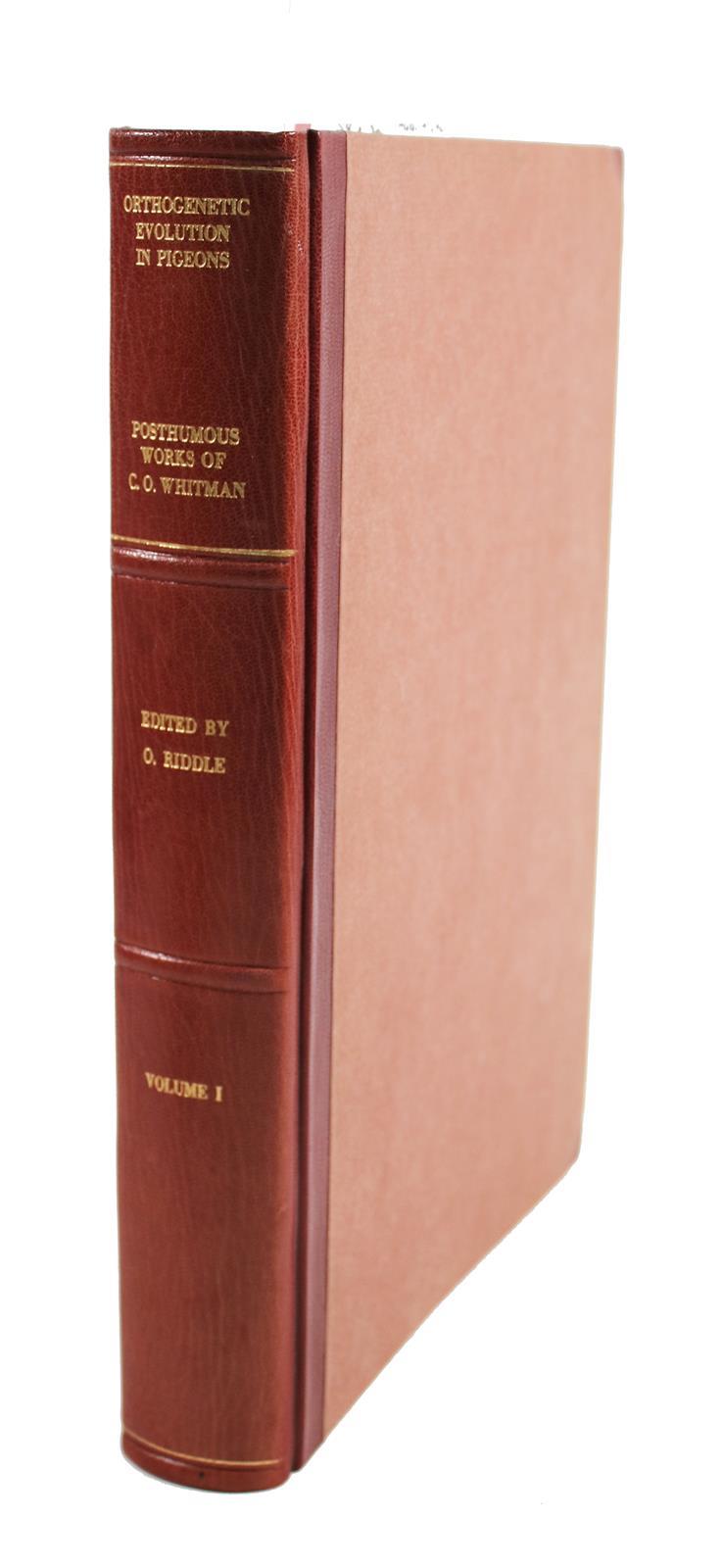 Whithman,Ch.O. | Bild Nr.4