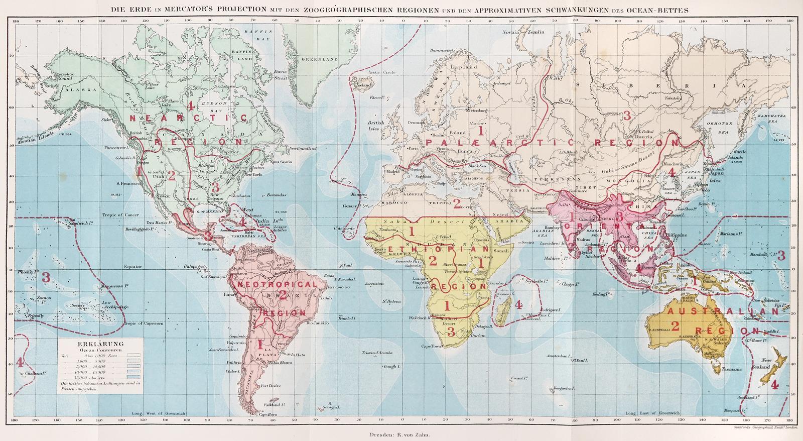 Wallace,A.R. | Bild Nr.2